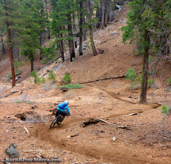 Carving Turns on Cold Springs Trail