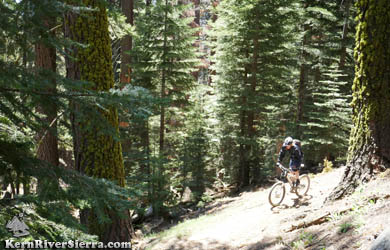 Biking Freeman Creek Trail DH
