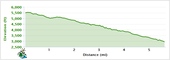 Waggy Ridge Trail Elevation Profile