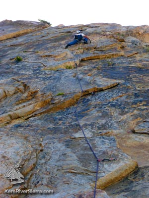 Climbing Rusty Nail Photo