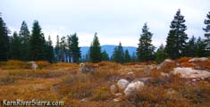 Meadow between Lookout Mountain & Schaeffer Mountain