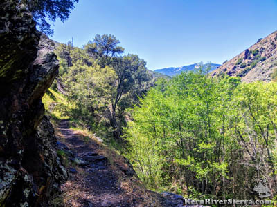 On the Packsaddle trail