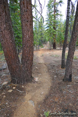 the Firebreak Trail
