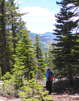 Sherman Peak Hiker