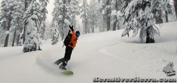 Snowboarding powder