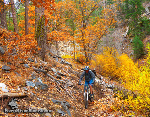 Fall on the Clear Creek Trail