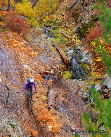 Midway down the trail