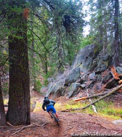Shredding Clear Creek Trail