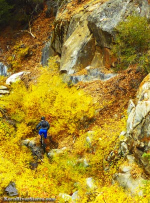 Clear Creek Trail in the Fall