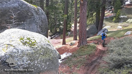 Portuguese Pass singletrack