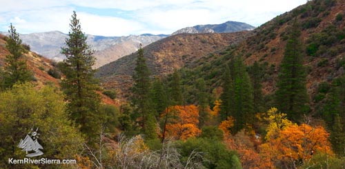 Tobias Canyon in the Fall