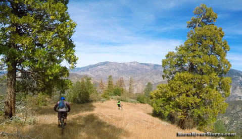 On the Tobias Ridge