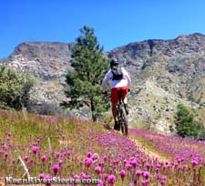 Whiskey Flat Trail update spring 2017