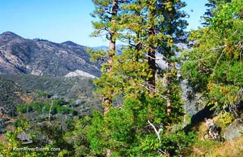 Tobias Creek Trail