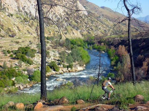 Whiskey Flat Trail after the fire