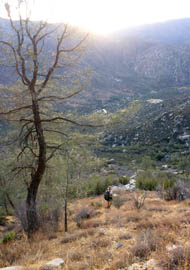 book rock trail