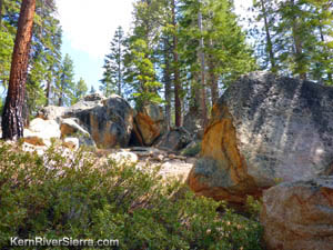 Sherman Pass Bouldering