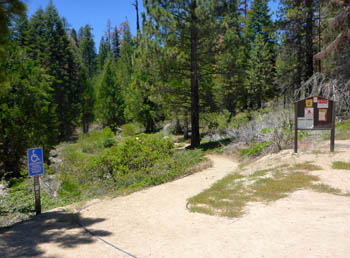 Trailhead at george bush tree