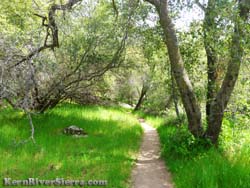 Mill Creek Trail