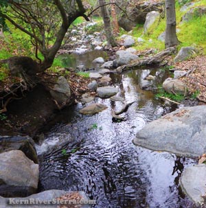 Mill Creek pools