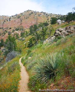 Mill Creek Trail near Lake Isabella