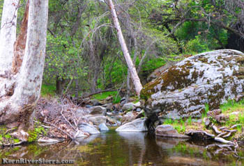 Mill Creek Trail crossing with small pool