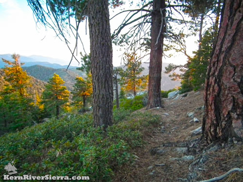 Mule Peak Trail