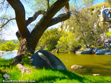 Patch Corner Trail River