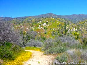 Patch Corner Trail 